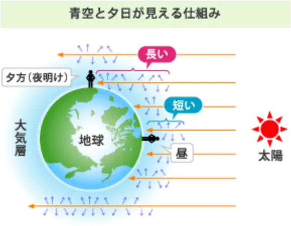 参考図（CCS株式会社のページより引用）